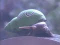 Emiliana Torrini - Big Jumps