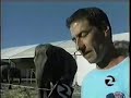 Elephant abuse under the big top at Ringling Brothers circus