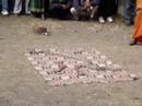 shivaratri-2007kathmandu.html