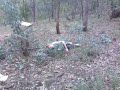 Matt Sloth Fallin Off Rope Swing