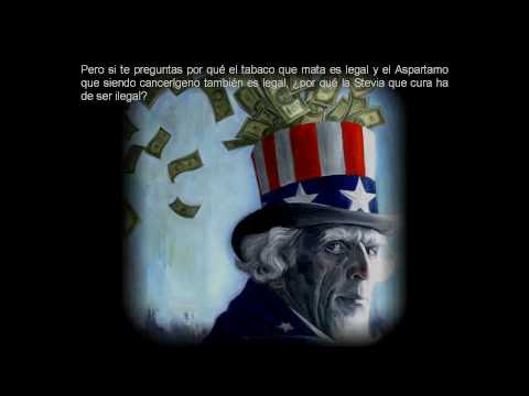Imagen de previsualización de YouTube