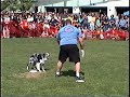 UC Davis Half Time Show - Steve and Irish