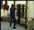 黃淳樑釋義詠春木人樁法
