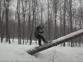 Tree snowboarding in wisconson Tree snowboarding in wisconson
