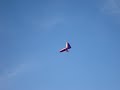 Ed Levin 2008-11-22  Carl test-flying Sport II