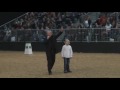 Pferd & Jagd die Kinder am langen Zuegel beim Barock- Show- Cup