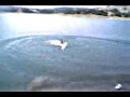 Fitimi ne BADOVC intro 2009.