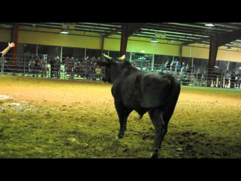 bull bowling - goldston