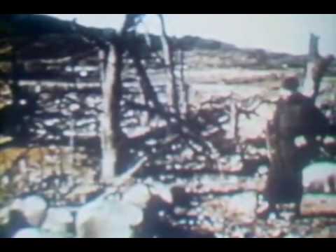 Imagen de previsualización de YouTube