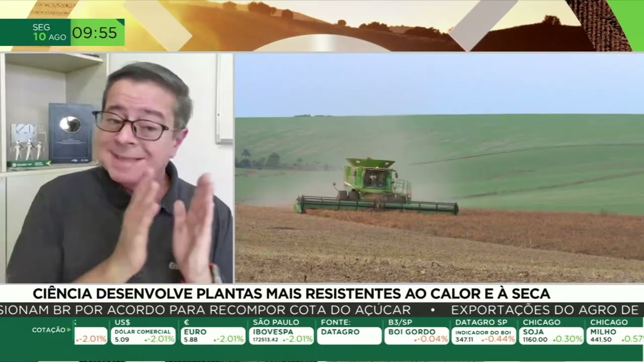 Embrapa desenvolve cultivares mais resistentes ao calor e à falta de água