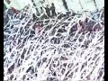 Coreografia della mitica Maratona