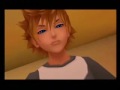 Kh2 Last Battle video/Rebirthing