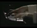 Evgeny Kissin plays Fledermaus op.56 arranged by Grunfeld