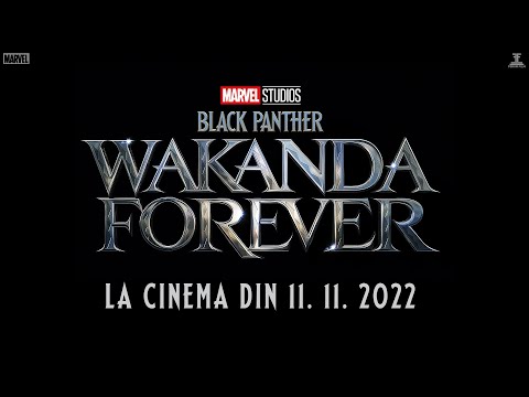 Pantera Neagra: Wakanda pentru totdeauna