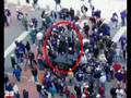 M&T Bank Stadium in One Minute