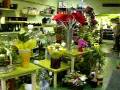 Interflora Basildon and Wickford