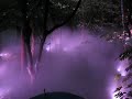 yokohama triennale creepy forest