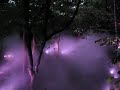 yokohama triennale creepy forest