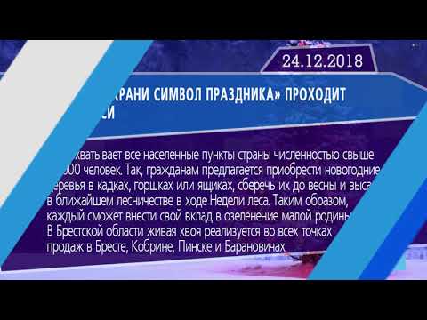 Новостная лента Телеканала Интекс 24.12.18.