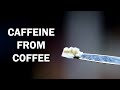 How to extract Caffeine from Coffee