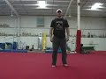Webster tutorial -steven renney