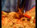princess the baby bunny ^-^ princess the baby bunny ^-^