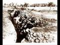 GALLIPOLI WAR