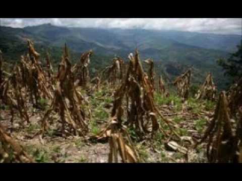 how to control global warming essay