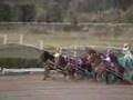 第32回 ばんえいダービー(2003年9月14日、岩見沢競馬場)