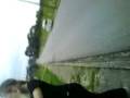 videos de Bicho²