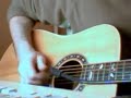 Suzuki acoustic guitar demo