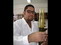 LA QUIMICA LA QUIMICA