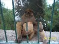 MIS VACIONES GIBRALTAR 1ª PARTE