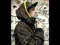 Tote King - TOTE - Conspiracion