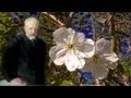 Nußknacker Suite (Tschaikowsky)