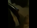 Mutt Fight #2