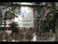 Memories of The Red-Bricked Library