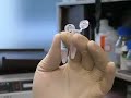 ????????????2006-PCR???-GM Canola in JAPAN-PCR test-