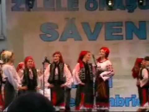 SAVENI FLOAREA SOARELUI