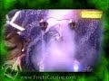 The Fright Catalog - Ultimate Electric Chair