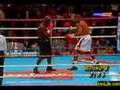 Roy Jones Jr Highlights