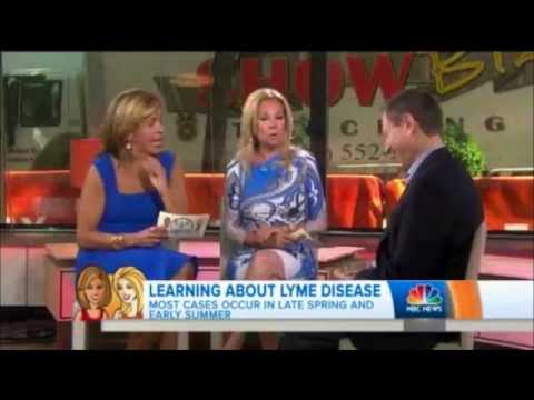 how to cure lyme disease