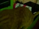 Viole y Hendrix matutinos