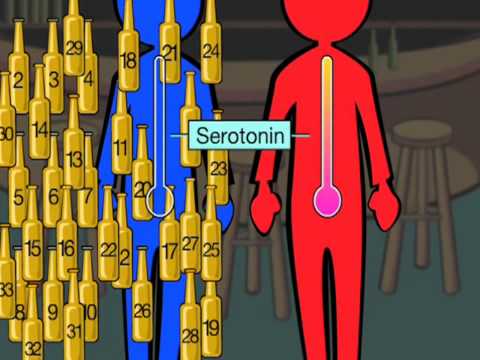 Alcoholism.mp4