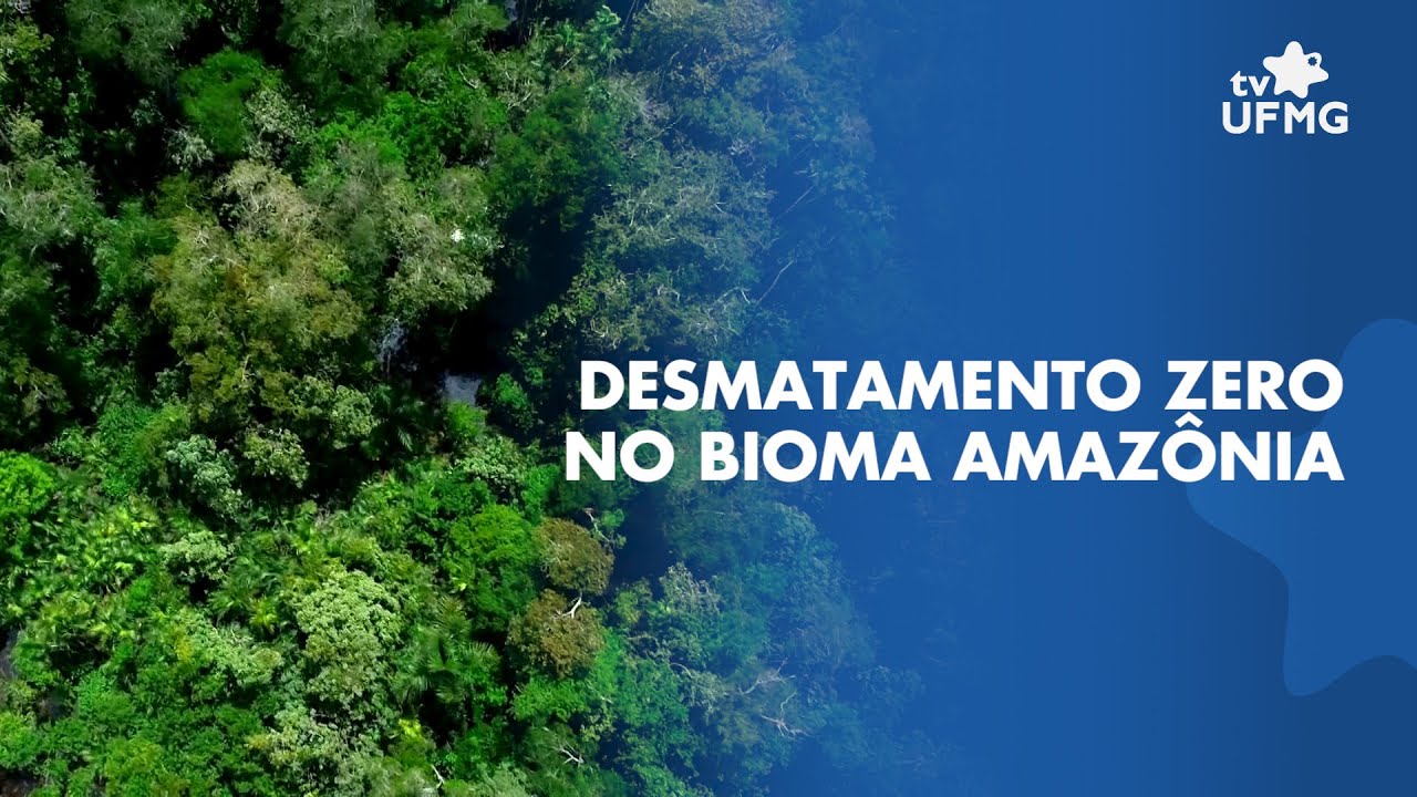 Estudo do Cedeplar UFMG indica que desmatamento zero no bioma Amazônia pode gerar ganhos econômicos