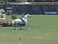 salto-ostacoli-sanremo-atleti-pompeiana-albergolucciola.html