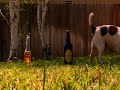 Corona Club