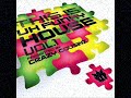 FUNKY HOUSE SKANKER - MAD RASTA MAN