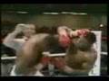 mike tyson K.O