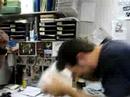Lab-Fun-headbutt-bre